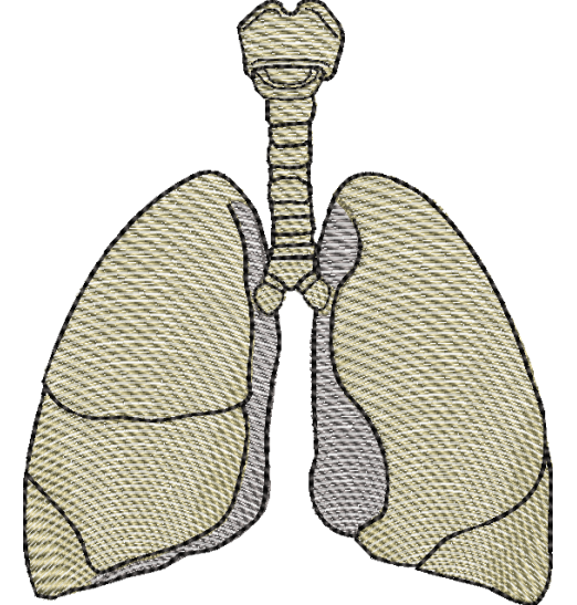 Matriz de Bordado Pulmão 